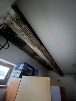 Zachycené fáze rekonstrukce rodinného domu